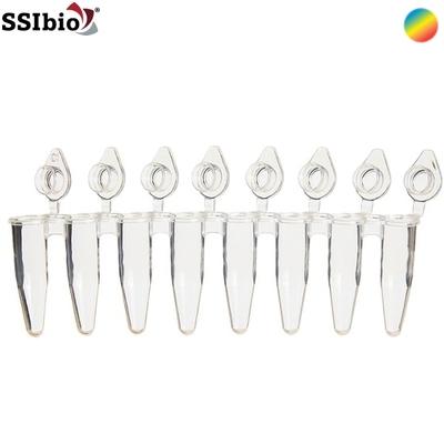 Tube Test - Conical - SSIbio - I Strip - 0.2 ml - Clear Assorted - 3247-09