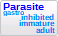 Parasite, present in gastrointestinal system of the animal, at inhibited, immature or adult growth stage