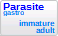 Parasite, present in gastrointestinal system of the animal, at immature or adult growth stage