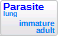 Parasite, present in lung of the animal, at immature or adult growth stage